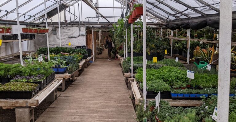 This Historic Colorado Garden Center Has Kept Denver Blooming Since 1911
