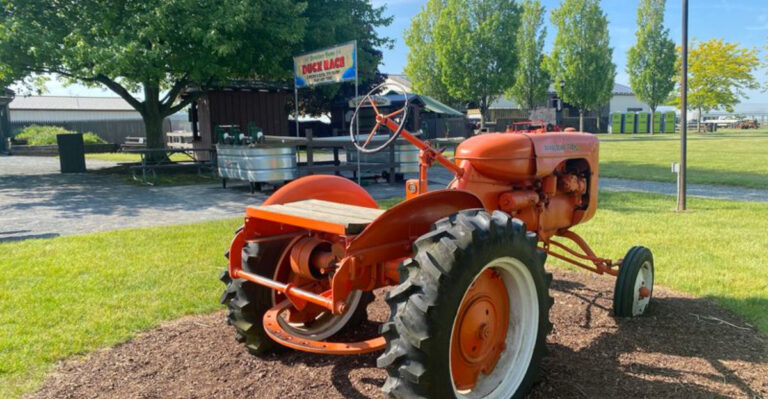 This Massive New Jersey Farm Market Is a Paradise for Local Food Lovers