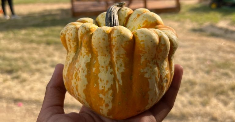 This Massive Texas Pumpkin Festival Has a Giant Bouncy Pumpkin, Bumper Boats, and Fall Fun