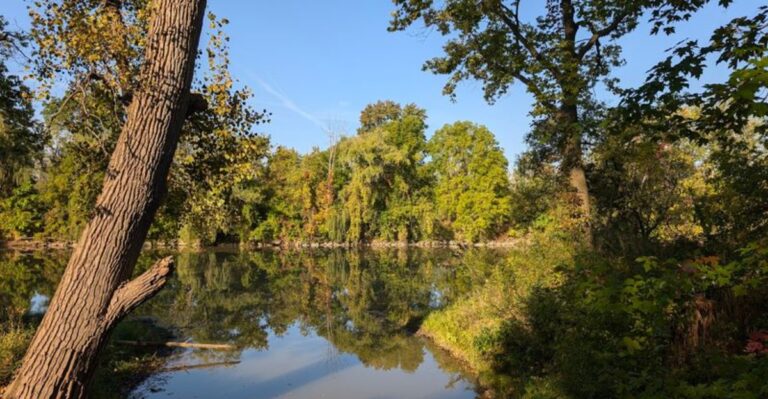 This Michigan Park Hosts A Three-Day Competition For Professional Tree Climbers