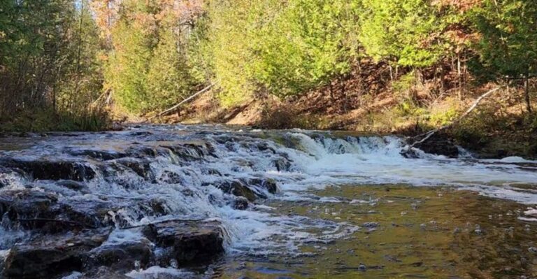 This Michigan Swimming Hole Has Long Been A Favorite Warm-Weather Escape