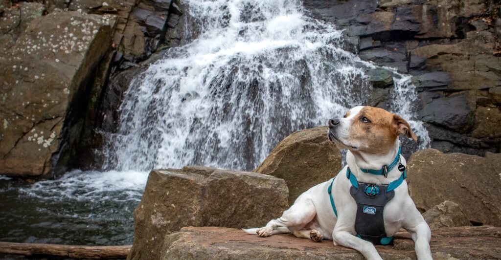 This New Jersey Hike Has Waterfalls, Lake Views and Brilliant Fall Color
