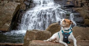 This New Jersey Hike Has Waterfalls, Lake Views and Brilliant Fall Color
