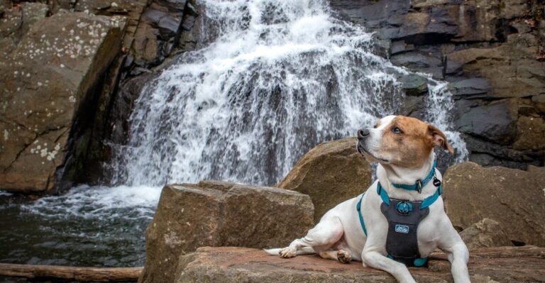 This New Jersey Hike Has Waterfalls, Lake Views and Brilliant Fall Color