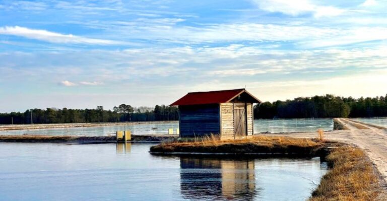 This New Jersey Village Feels Like a Storybook World Come to Life