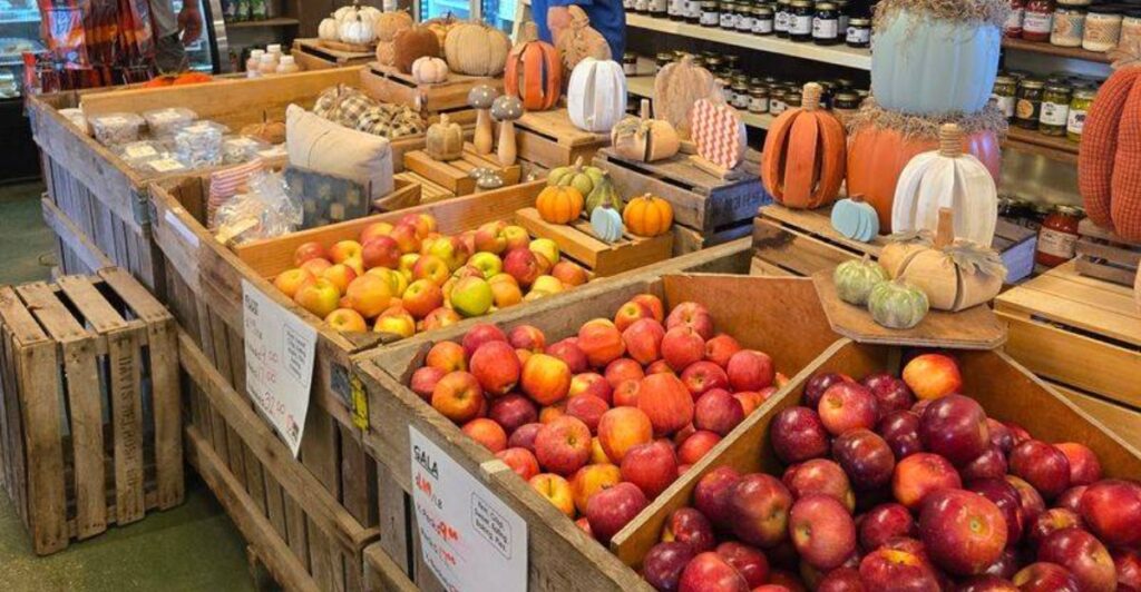 This Ohio Apple Orchard Is Easy To Miss, But Families Keep Coming Back