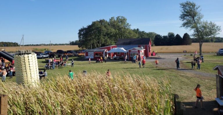 This Ohio Farm Turns September Days Into Corn Mazes, Sunflowers, And Hayrides