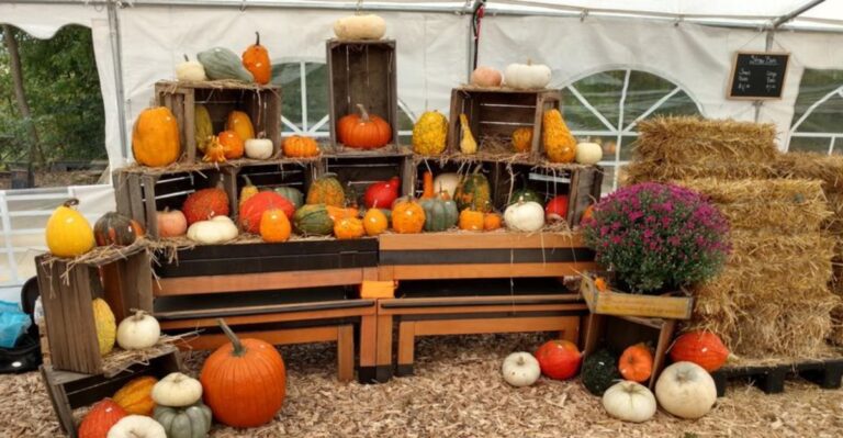 This Ohio Pumpkin Farm Begins Serving Donuts And Harvest Treats Before September Is Over