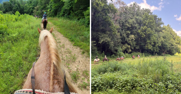 This Peaceful Tennessee Mountain Town Offers Horseback Rides Straight Through The Smokies