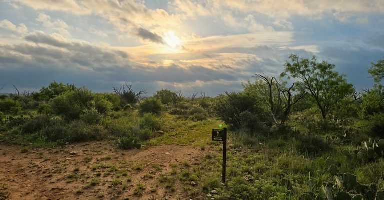 This Peaceful Texas State Park Comes With One Warning: Watch Where You Step