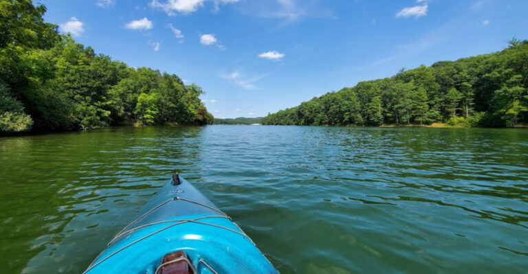 This Pennsylvania Lake Shore Is Getting Too Snake-Infested For Its Own Good