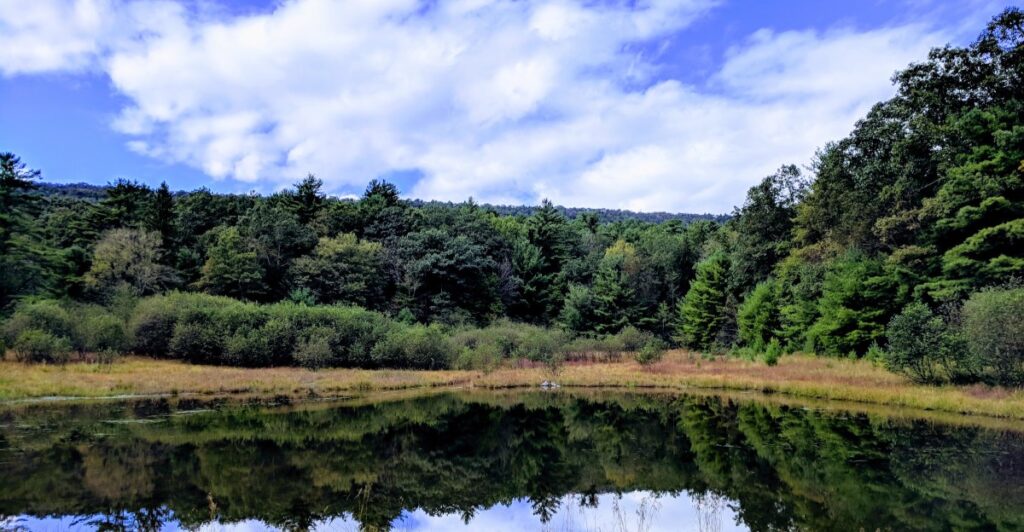 This Pennsylvania State Park Gets Zero Crowds And All The Scenery