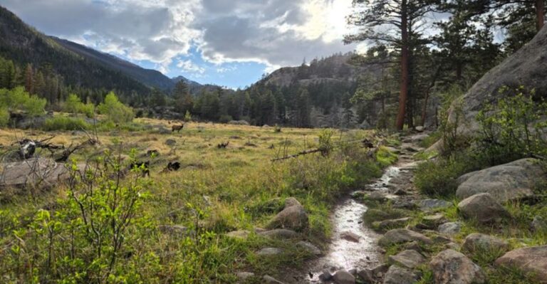 This Quiet Colorado Trail Might Be One of the Best Spots to Hear Elk Bugling This Fall