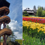 This Quiet Ohio Arboretum Hideaway Has One Of The Best Scenic Towers Around