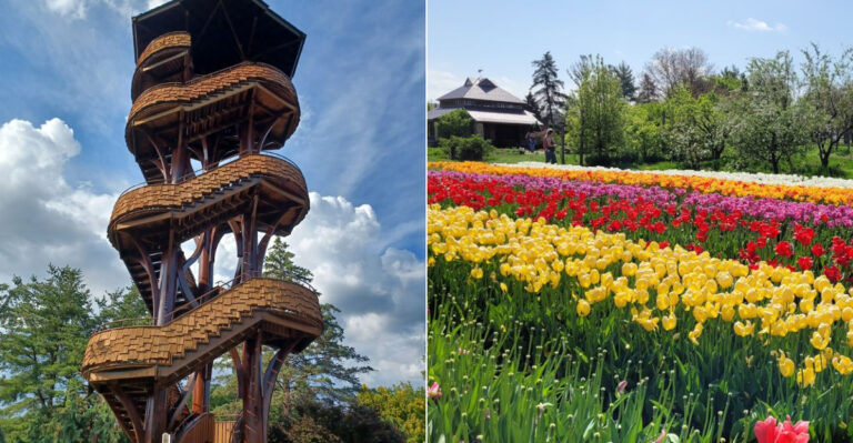 This Quiet Ohio Arboretum Hideaway Has One Of The Best Scenic Towers Around