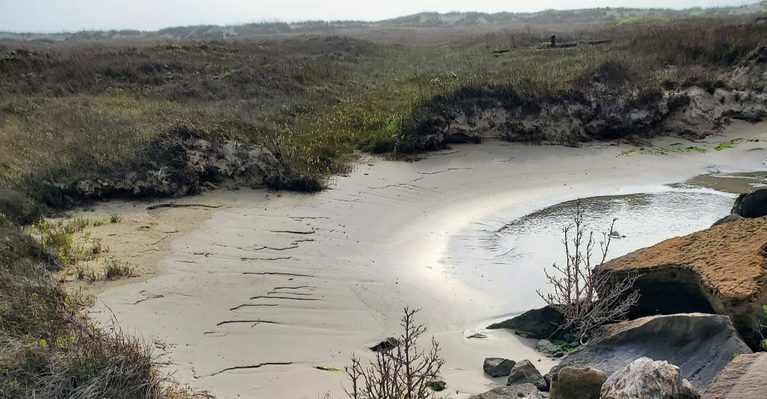 This Remote Texas Island Is All Beaches, Wildlife, and Gulf Coast Views