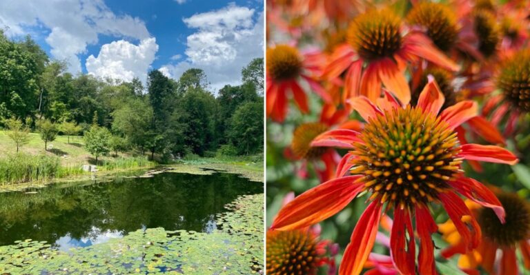 This Stunning Pennsylvania Garden Transformed An Abandoned Coal Mine Into A Paradise