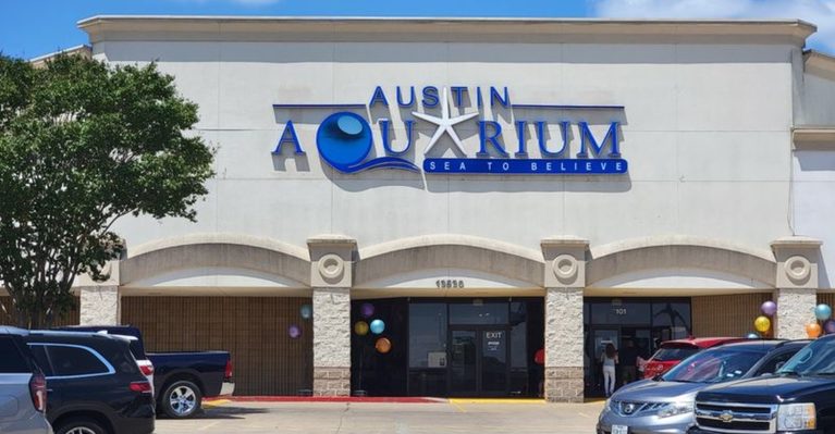 This Texas Aquarium Is the Perfect Family Escape From Crowded Theme Parks