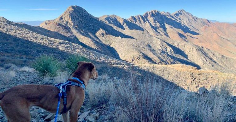 This Texas Overlook Has A View So Stunning It Barely Looks Real