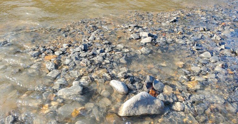 This Texas Park Lets Visitors Search For Cretaceous-Era Fossils For Free