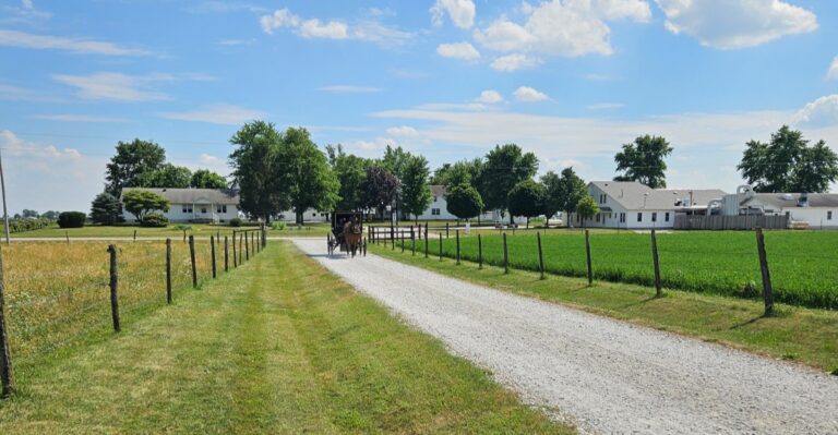 This Tiny Amish Town in Illinois Makes a Perfect Family Day Trip
