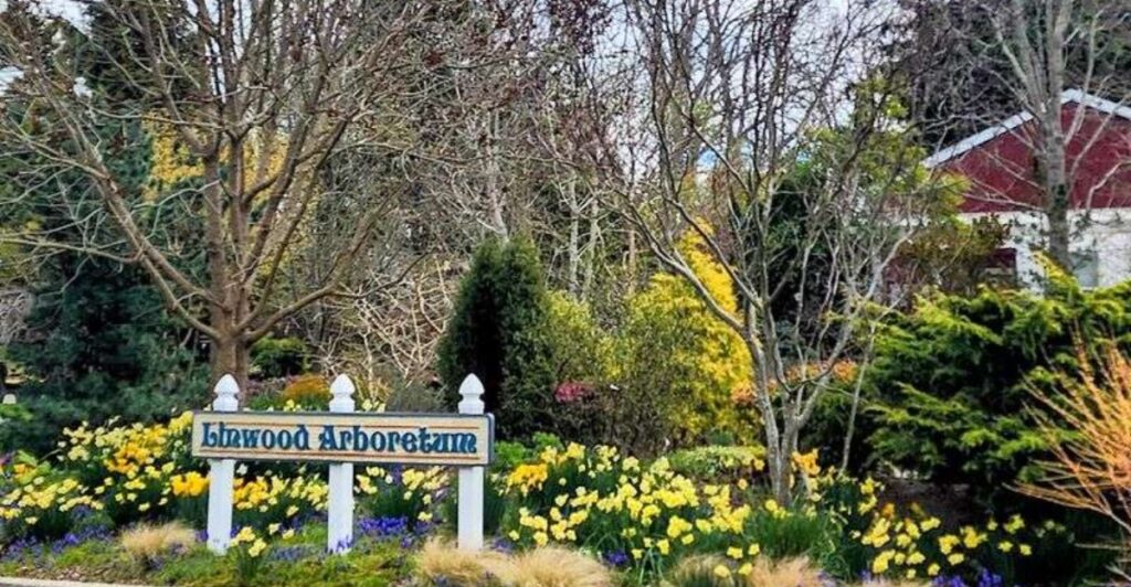 This Tiny New Jersey Arboretum Is the Perfect Place for a Peaceful Stroll