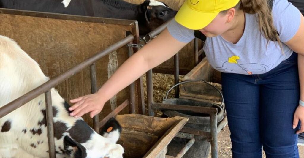 Tour, Taste, and Milk a Cow at These 12 New Jersey Farms
