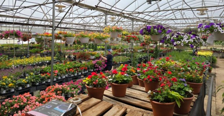 Trees Have Been Growing At This 800-Acre Michigan Farm Since Before The Civil War