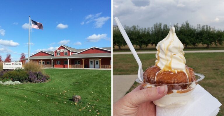 Tucked Along a Quiet Illinois Road Sits an Orchard Famous for Its Warm Apple Cider Donuts