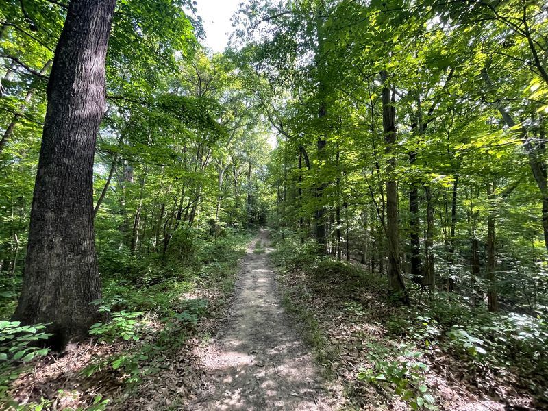 Pate Hollow Trail (Bloomington)