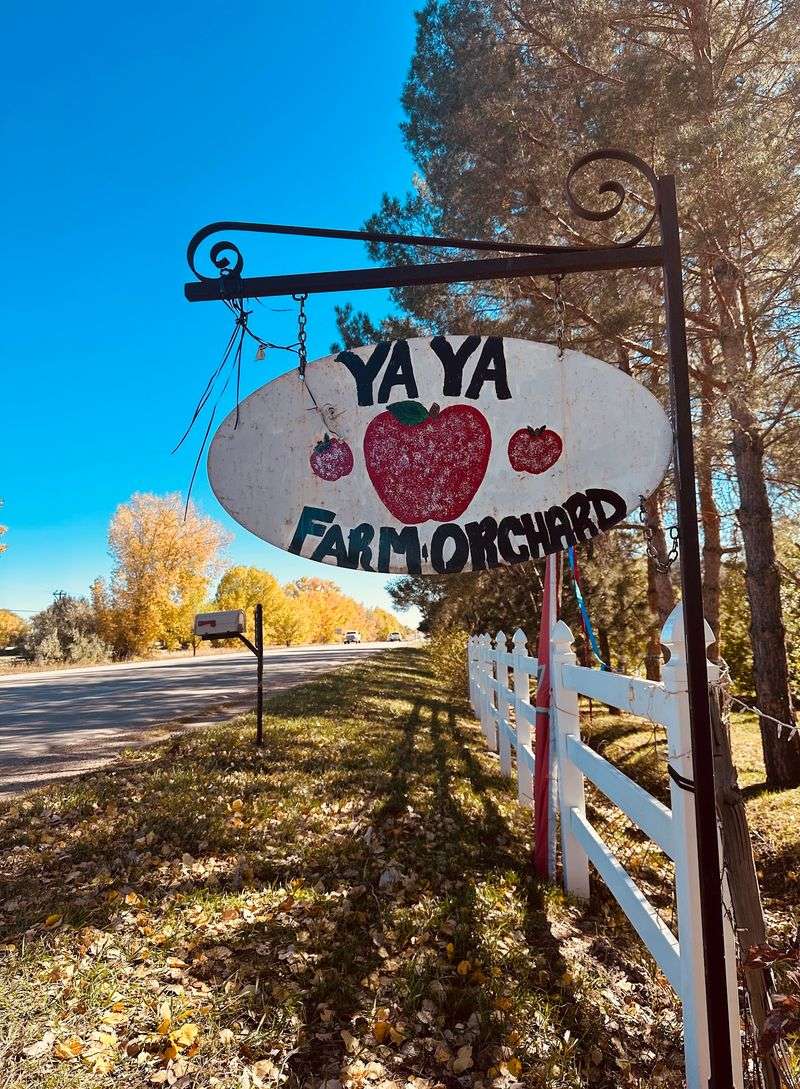 Best Times To Go In Colorado Without The Parking Stress Best Times To Go In Colorado Without The Parking Stress