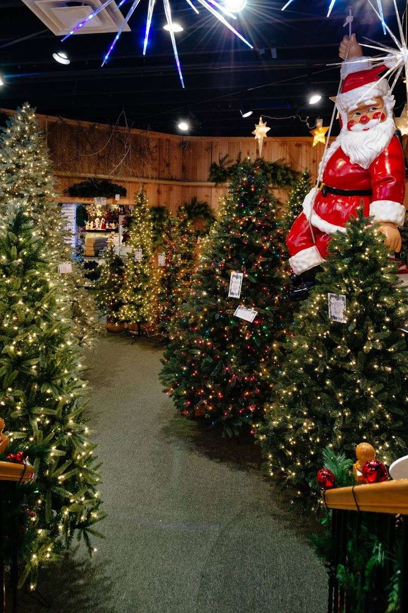 Downstairs, the Trees Do the Talking Downstairs, the Trees Do the Talking