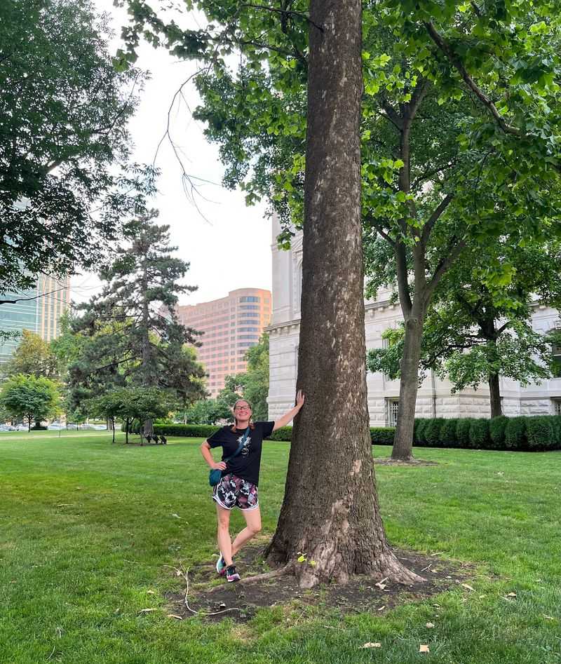 Look Up Close and the Trunk Gives It Away