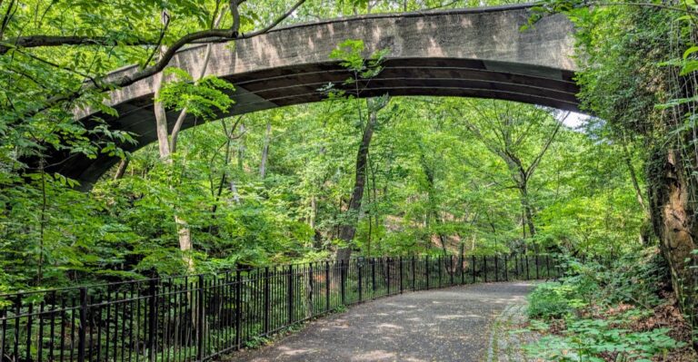 Walk Among 400-Year-Old Ancient Trees In This Remarkable New York Forest