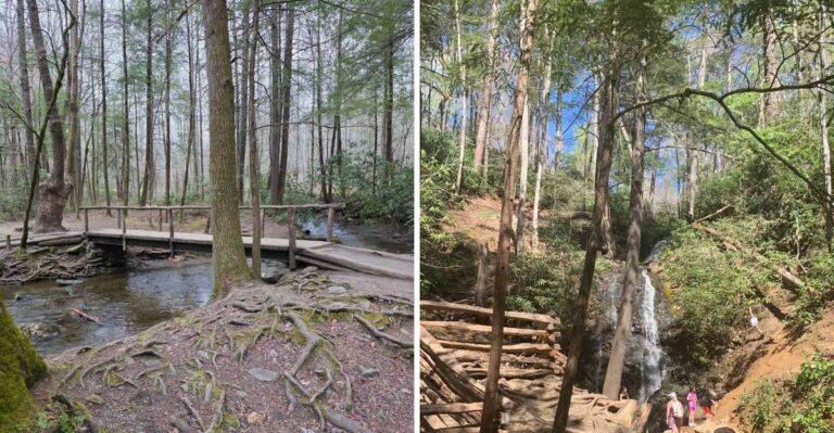 Walk Only 10 Minutes To Reach A Waterfall On This Flat Tennessee Trail