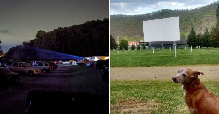 Watch A New Release For Only $10 At This Historic Tennessee Drive-In