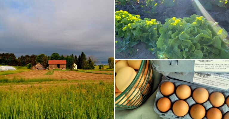 Weekly Veggie Boxes and Fresh Eggs Come Straight From This Michigan Farm
