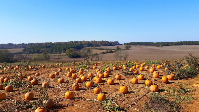 Mayfield Farm Park – Athens Mayfield Farm Park – Athens