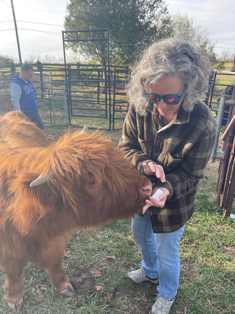 Hand Feeding the Herd, One Fuzzy Muzzle at a Time