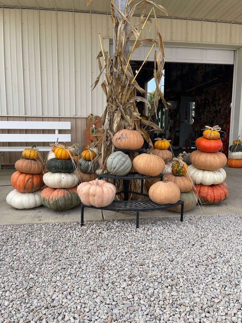 Gail’s Pumpkin Patch, LLC (Beason) Gail’s Pumpkin Patch, LLC (Beason)