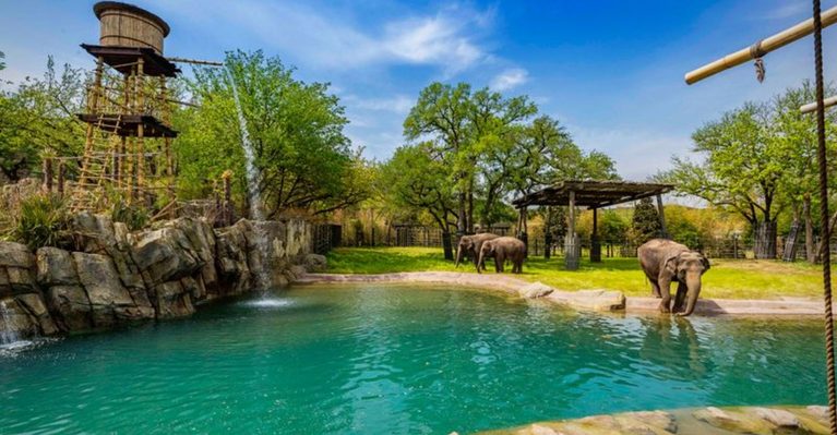 You Could Spend Hours Exploring This Massive Texas Zoo And Still Not See It All