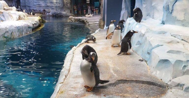 You Don’t Have To Leave Michigan To Visit One Of America’s Most Impressive Zoos