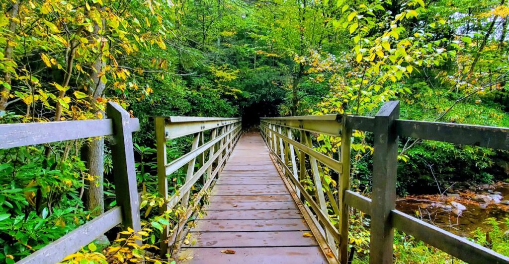 You Don’t Need A National Park Pass To Experience This Absolutely Breathtaking Pennsylvania Park
