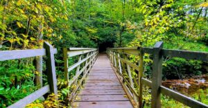You Don’t Need A National Park Pass To Experience This Absolutely Breathtaking Pennsylvania Park