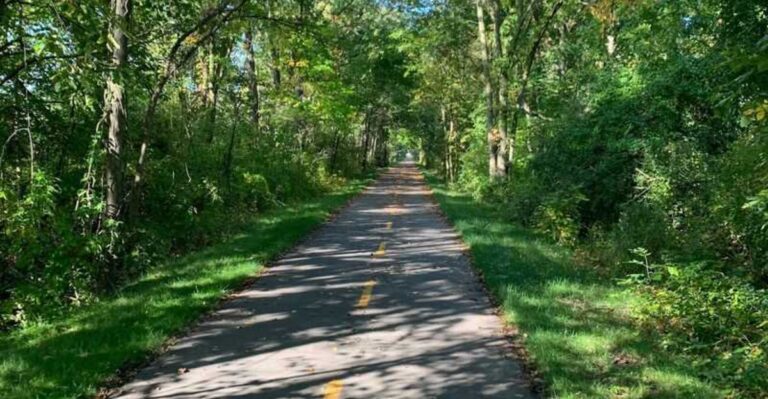 You Don’t Need Serious Cycling Skills For 14 Michigan Trails Like These