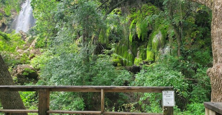 You’d Never Expect to Find This Moss-Covered 70-Foot Waterfall in Texas