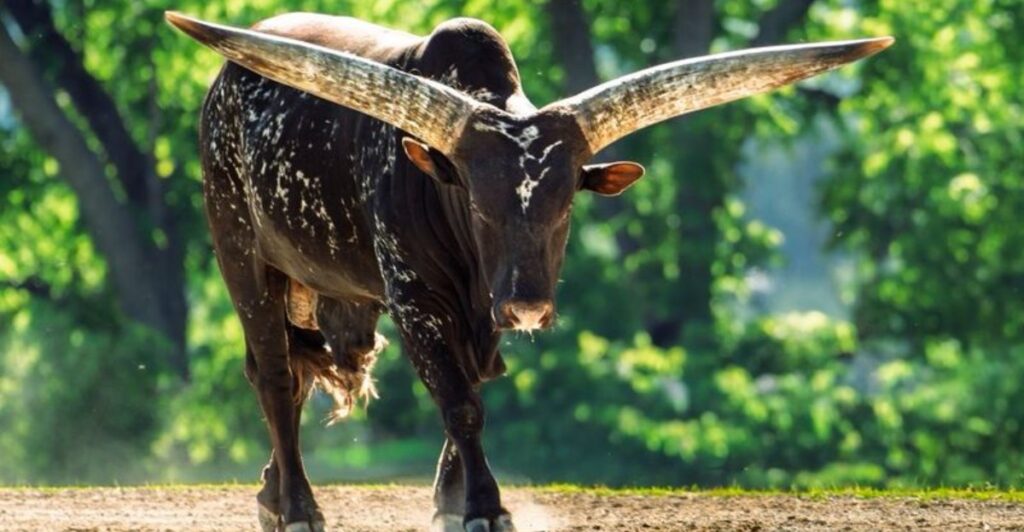 You’ll Want To Visit This Amazing Ohio Farm At Least Once In Your Lifetime