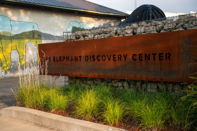 Why You Can't Visit the Elephants Directly Why You Can't Visit the Elephants Directly