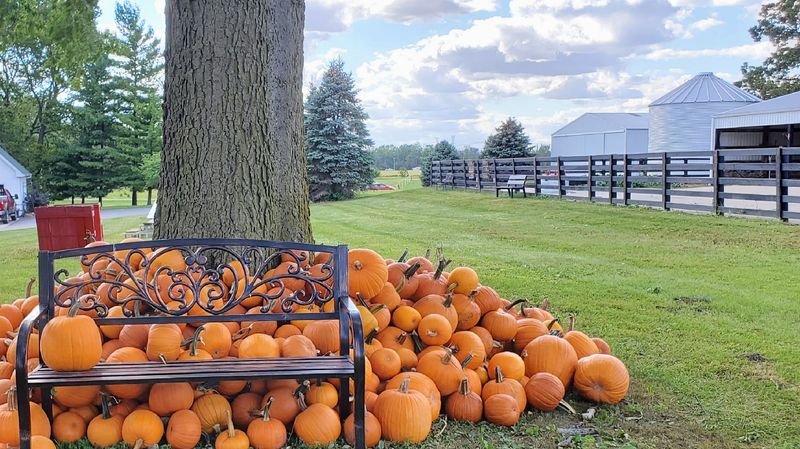 Dollinger Family Farm (Channahon) Dollinger Family Farm (Channahon)