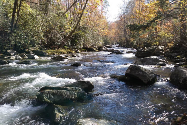 10 Most Scenic Hiking Trails in the Smoky Mountains, Tennessee, With Views That Will Take Your Breath Away